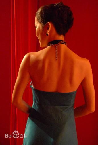 高清李冰冰(Li Bingbing)精彩图册5