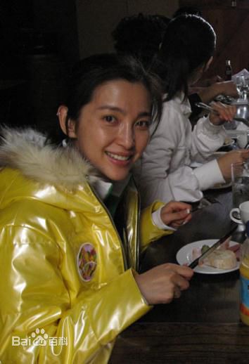 高清李冰冰(Li Bingbing)精彩图册5