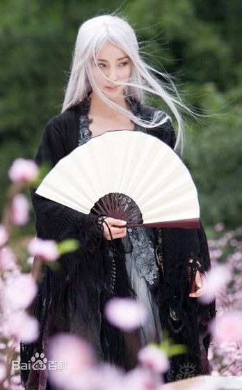 高清李冰冰(Li Bingbing)精彩图册5