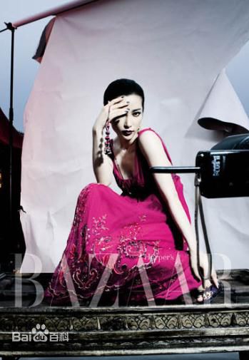 高清李冰冰(Li Bingbing)精彩图册5