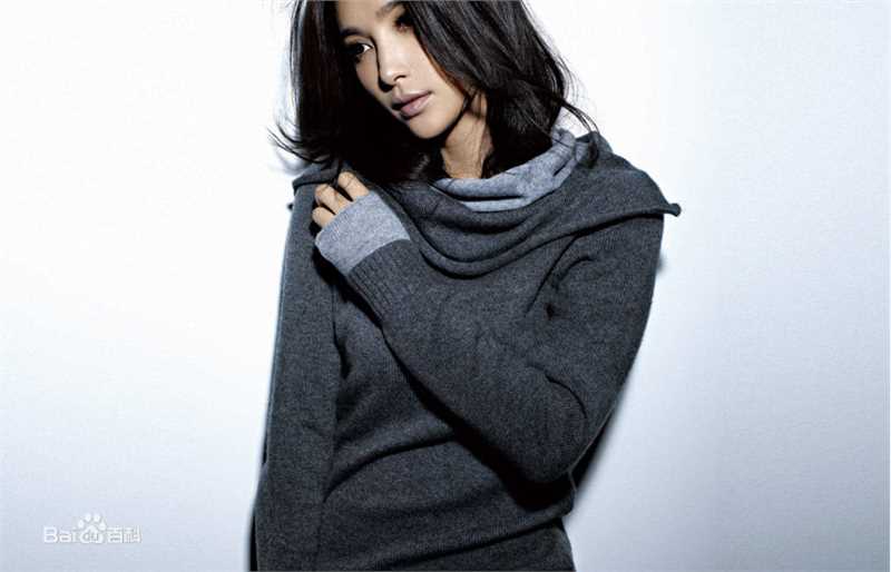 高清李冰冰(Li Bingbing)精彩图册2