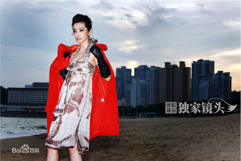 高清李冰冰(Li Bingbing)精彩图册2