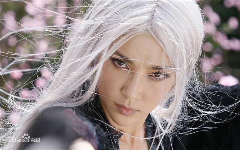高清李冰冰(Li Bingbing)精彩图册2