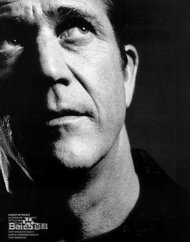 最新梅尔·吉布森(Mel Columcille Gerard Gibson)壁纸