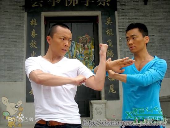 最全谢苗在2011《蔡李佛拳》中的壁纸