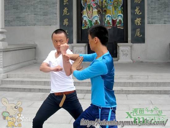 最全谢苗在2011《蔡李佛拳》中的壁纸