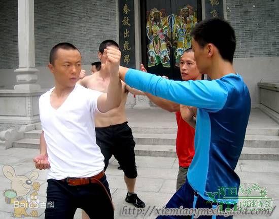 最全谢苗在2011《蔡李佛拳》中的壁纸