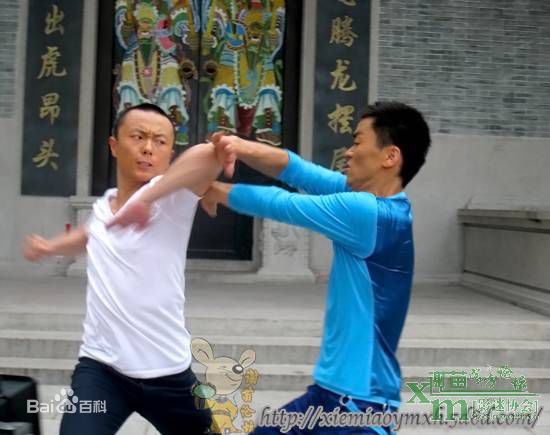 最全谢苗在2011《蔡李佛拳》中的壁纸