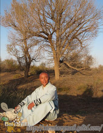 谢苗2010《少林寺传奇3》最优质剧照