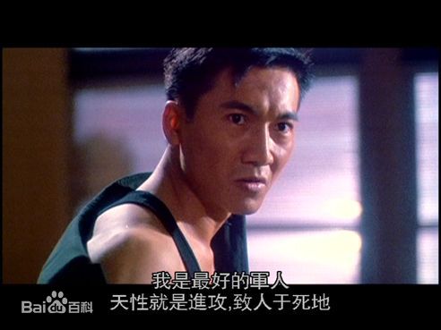 邹兆龙(Collin Chou)最全剧照