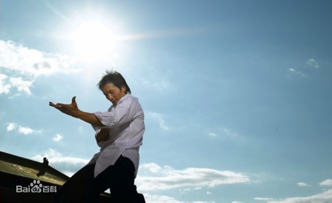 最全邹兆龙(Collin Chou)精彩图册