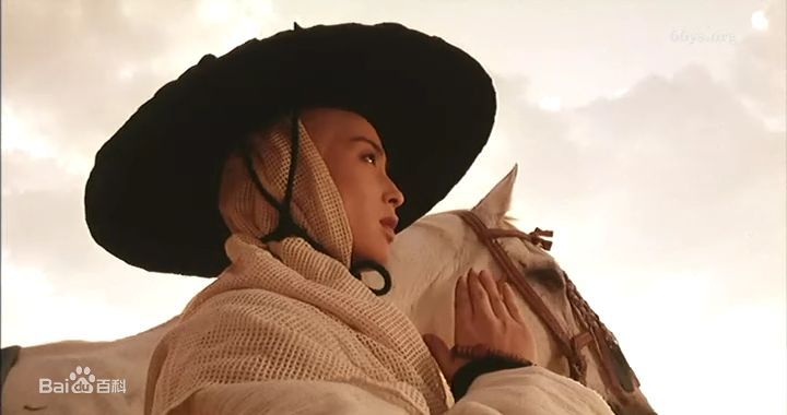 最全张敏(Sharla Cheung)在1993年《飞狐外传》饰演袁紫衣中的壁纸