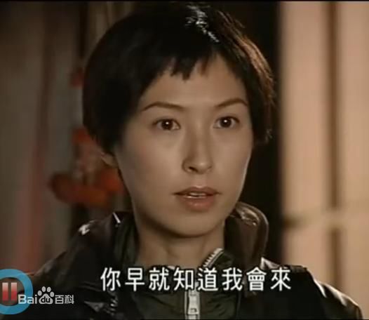 郭蔼明(Amy Kwok)世纪之战 张强壁纸壁纸