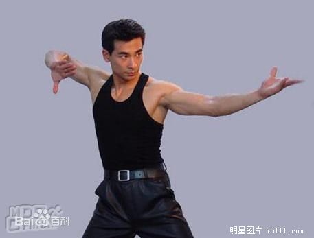 黎姿(Gigi Lai)高清赵文卓图集