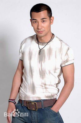 黎姿(Gigi Lai)高清赵文卓图集