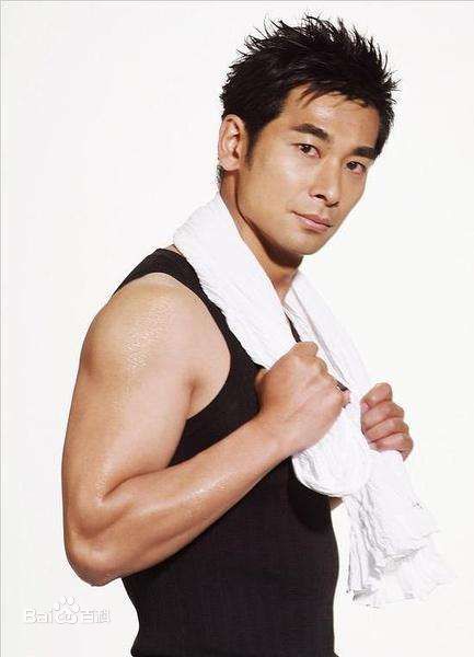 黎姿(Gigi Lai)高清赵文卓图集