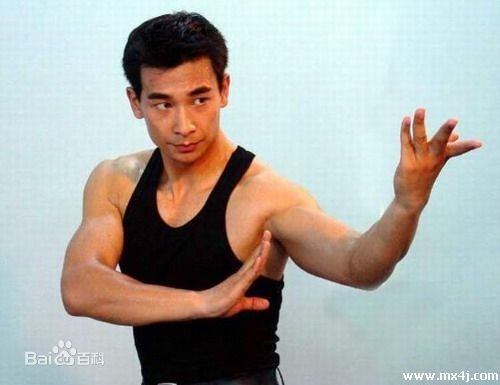 黎姿(Gigi Lai)高清赵文卓图集