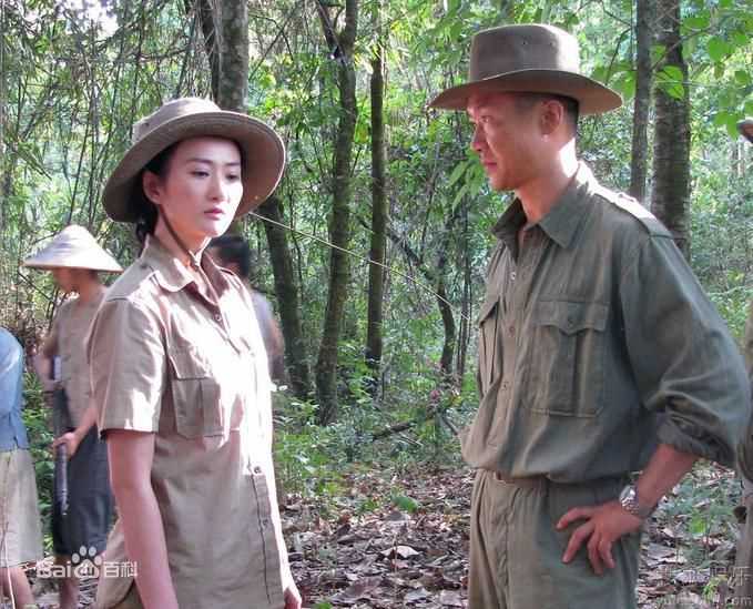 最优质黎姿(Gigi Lai)赵文卓精彩图册