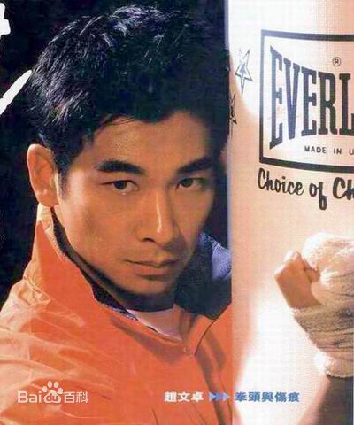 黎姿(Gigi Lai)赵文卓精彩图册