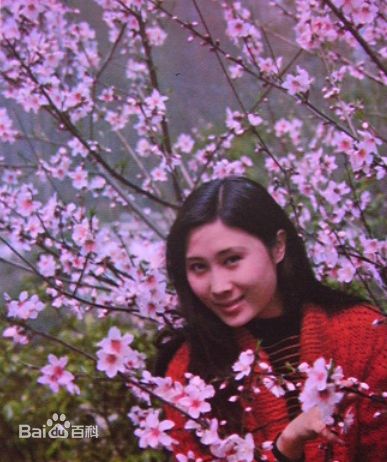 高清丁岚(Ding Lan)图片