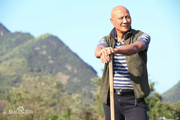 计春华生活照壁纸壁纸