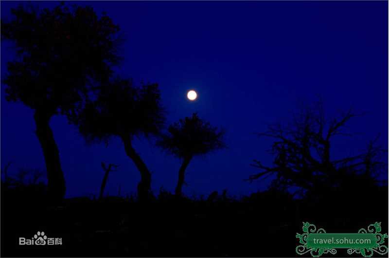 精选冯小刚(Xiaogang Feng)精彩图册