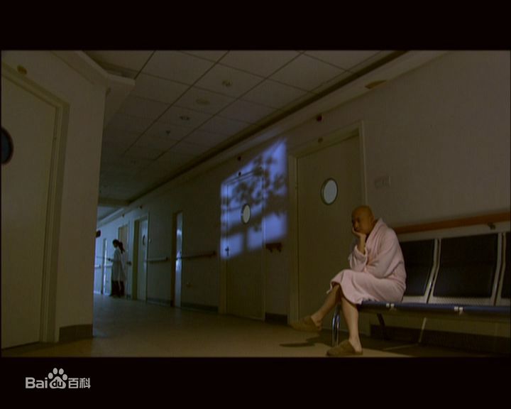 徐峥(Xú Zhēng)爱情呼叫转移生活照相册