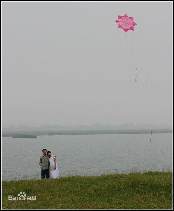 方刚亮桃花灿烂壁纸壁纸