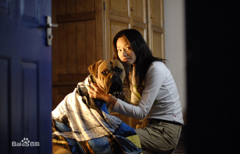 张建亚最优质剧照