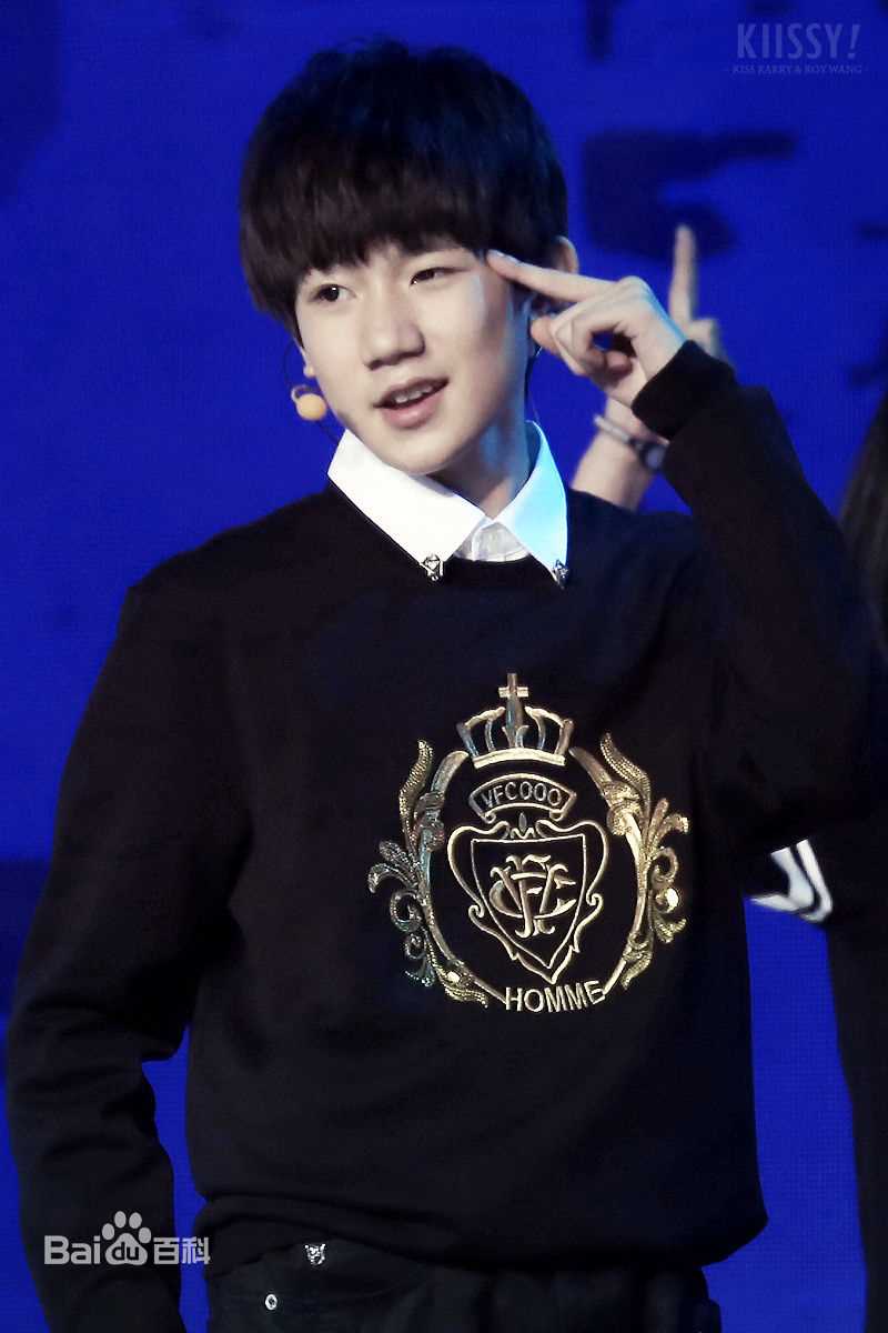 王源(Roy)舞台图片图册