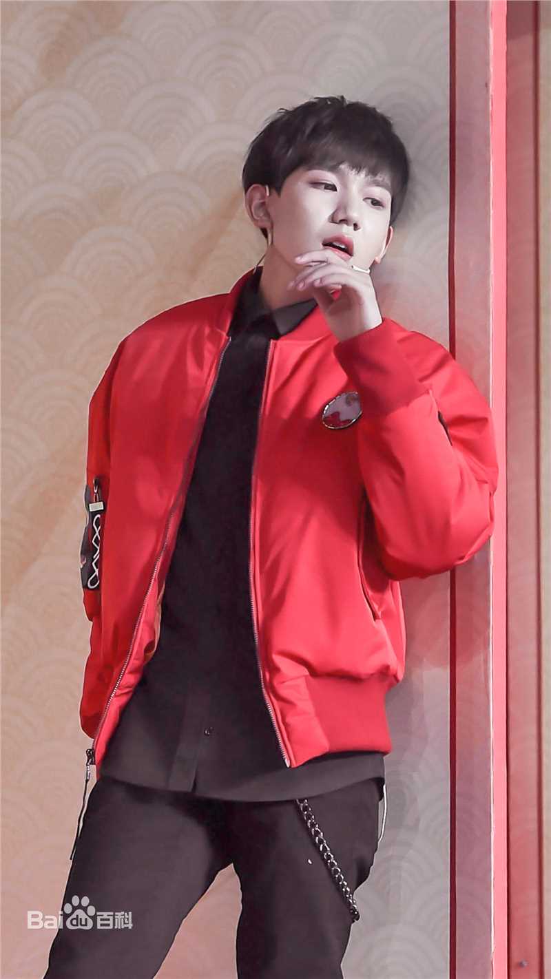 王源(Roy)主持节目壁纸壁纸