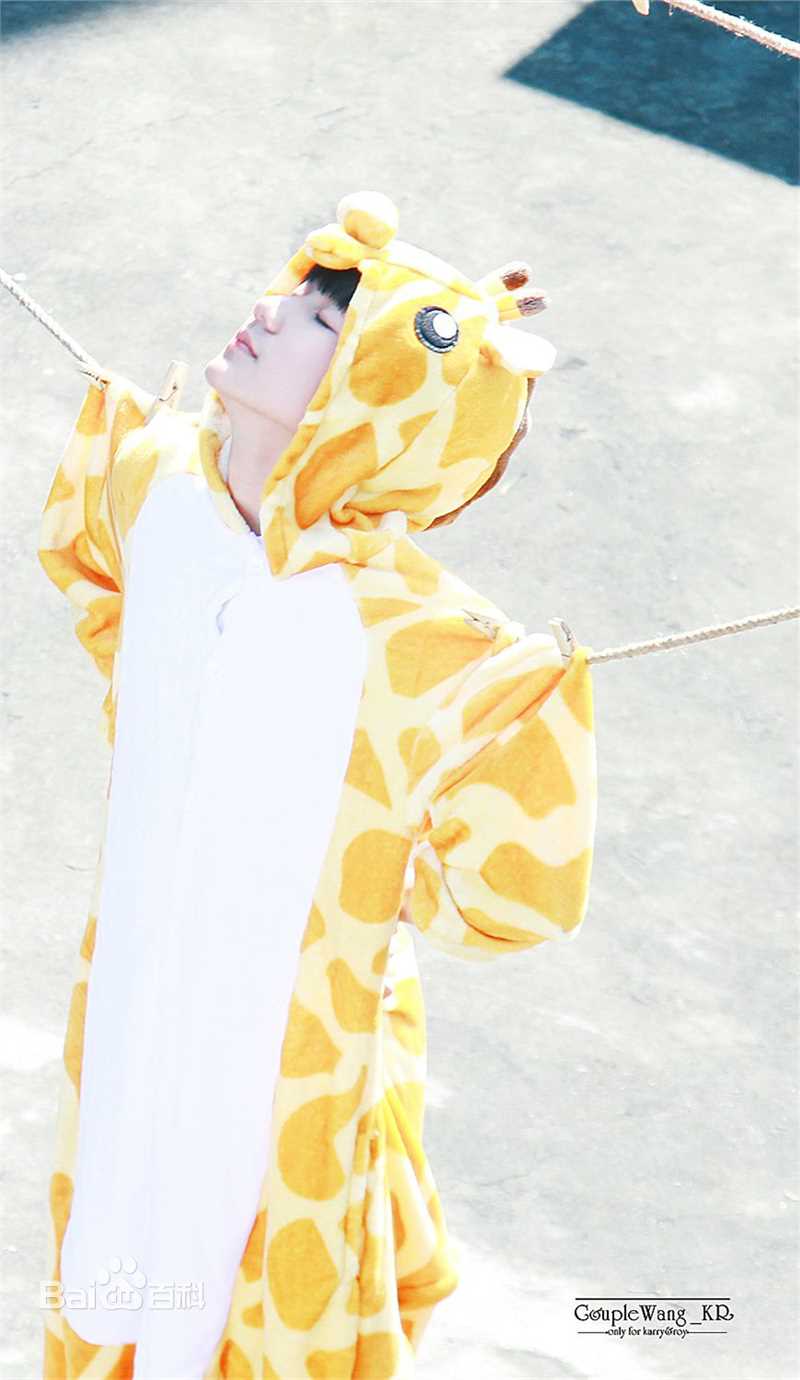 王源(Roy)代言图片图册