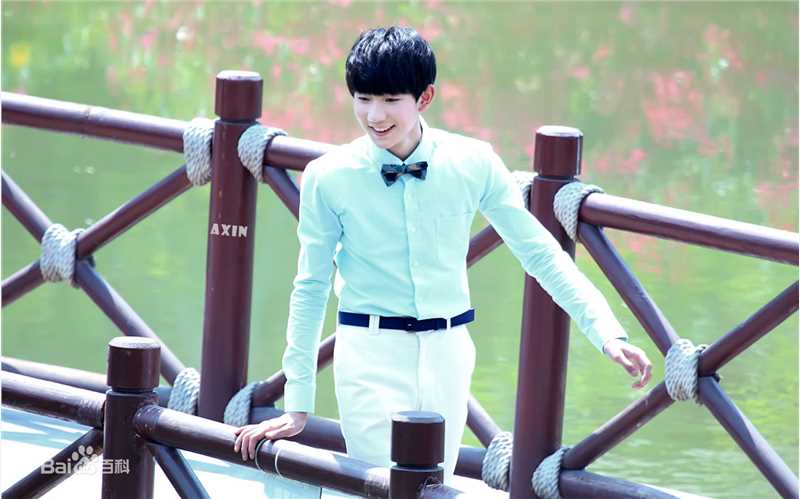 王源(Roy)代言图片图册