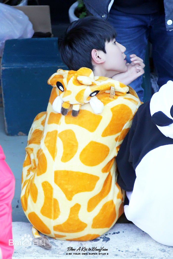 王源(Roy)代言图片图册