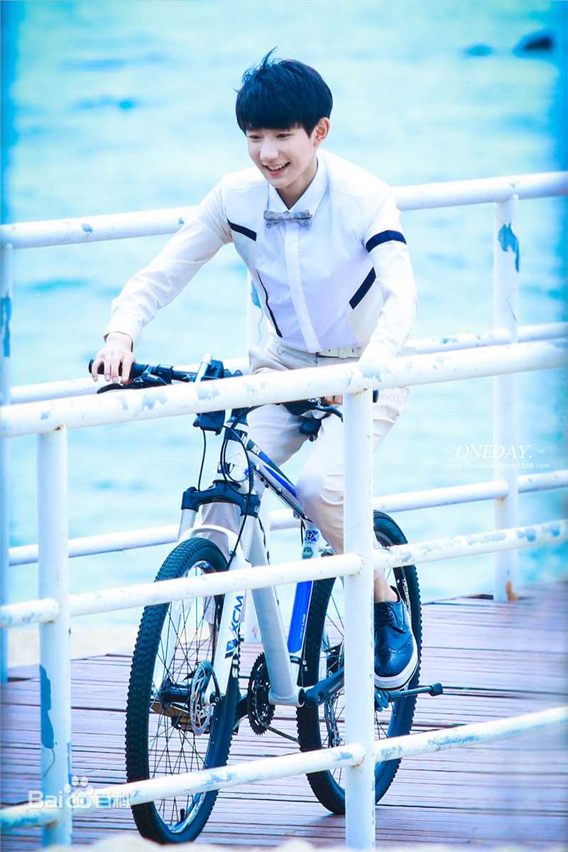 王源(Roy)代言图片图册