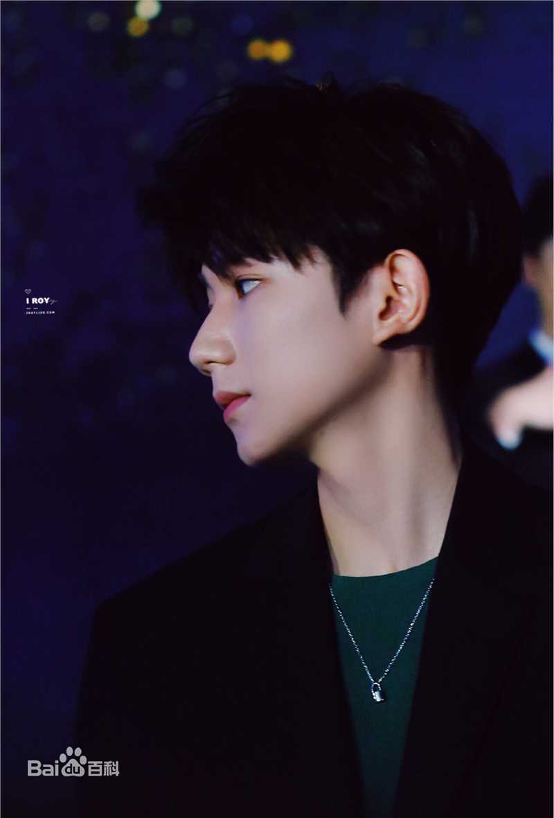 王源(Roy)完美精致侧颜前后照片