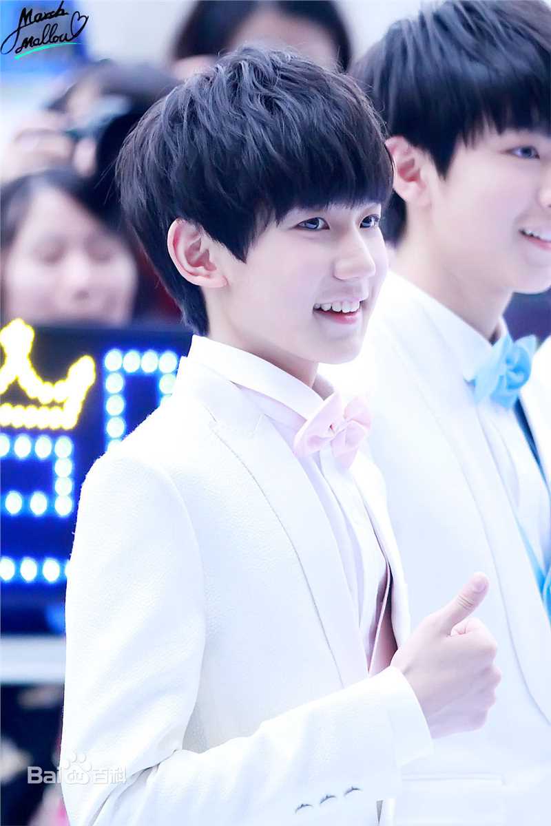 王源(Roy)红毯图片图集