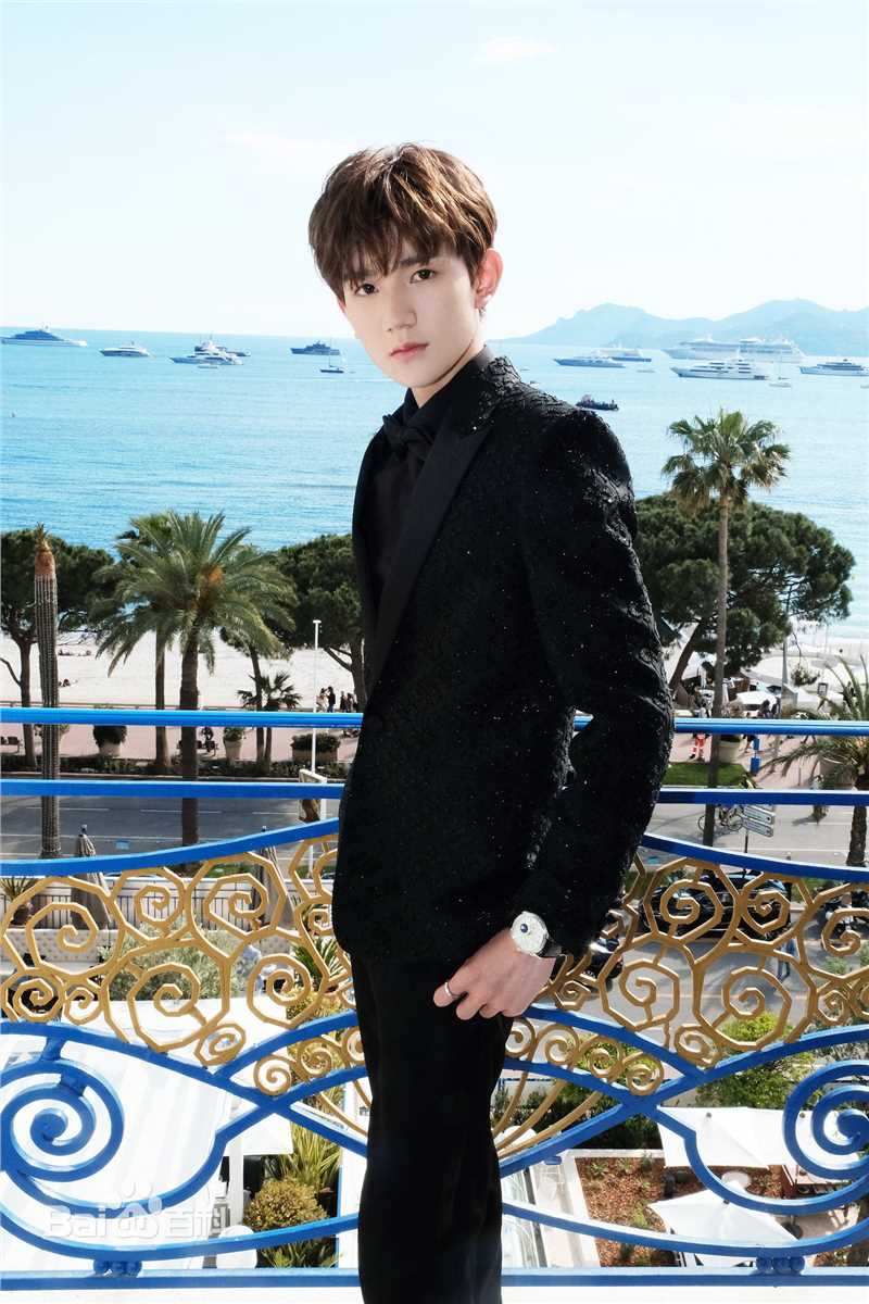 王源(Roy)红毯图片图集