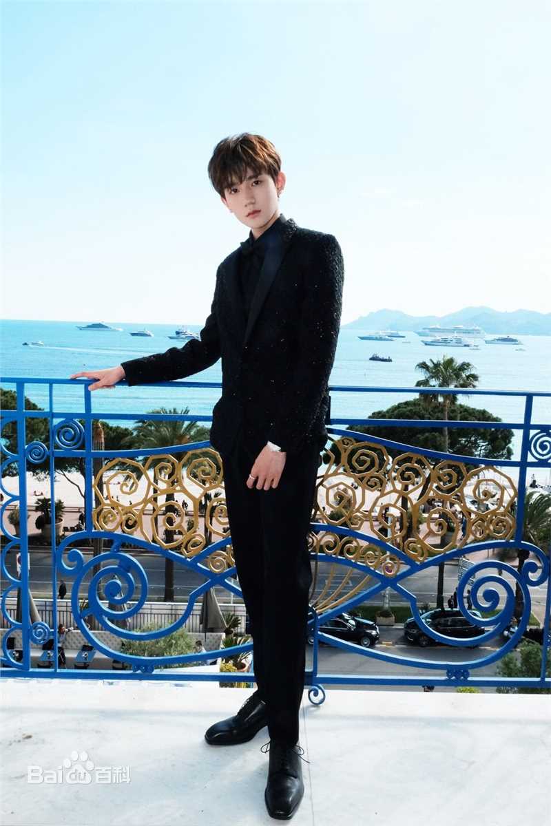 王源(Roy)红毯图片图集