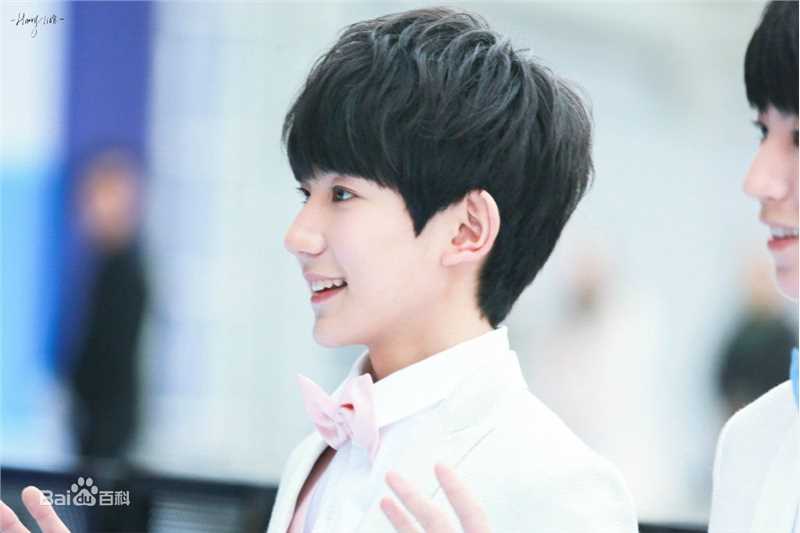 王源(Roy)红毯图片图集