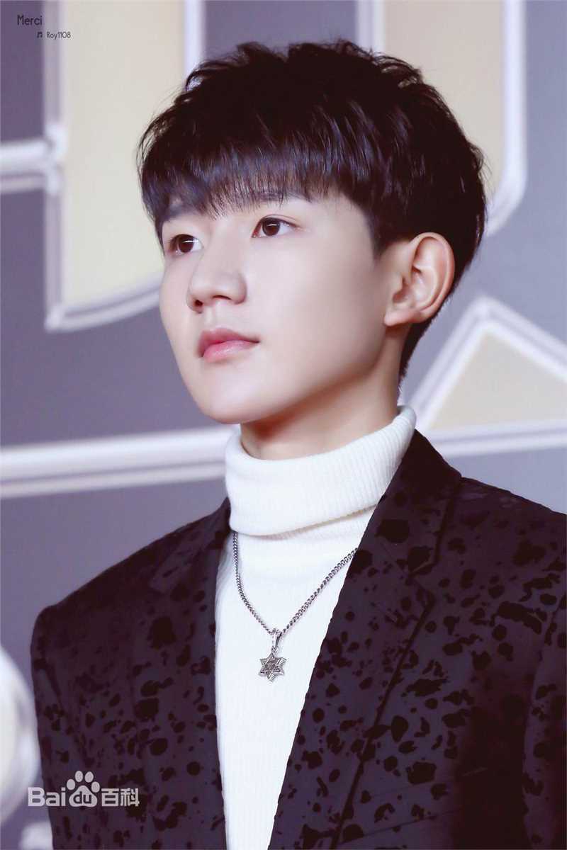 王源(Roy)红毯图片图集