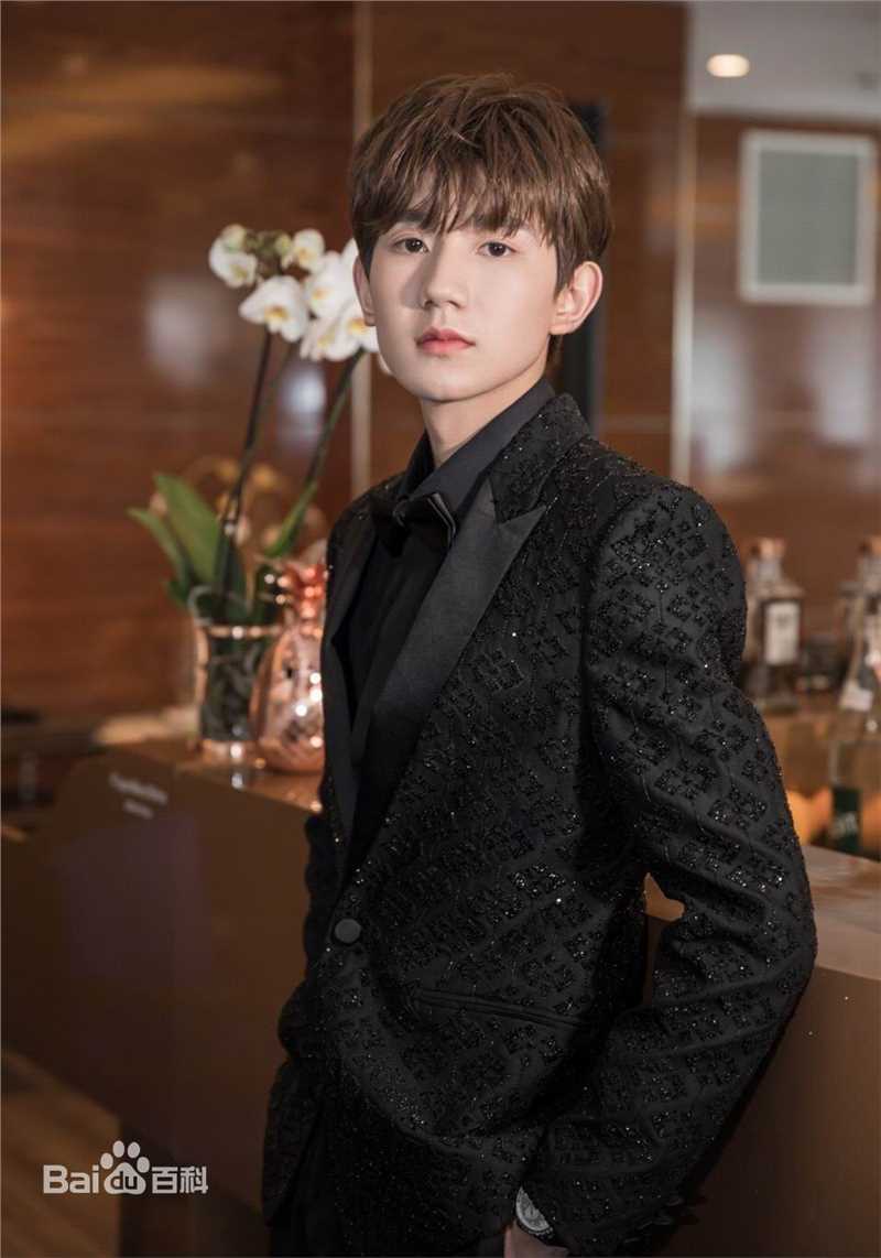 王源(Roy)红毯图片图集