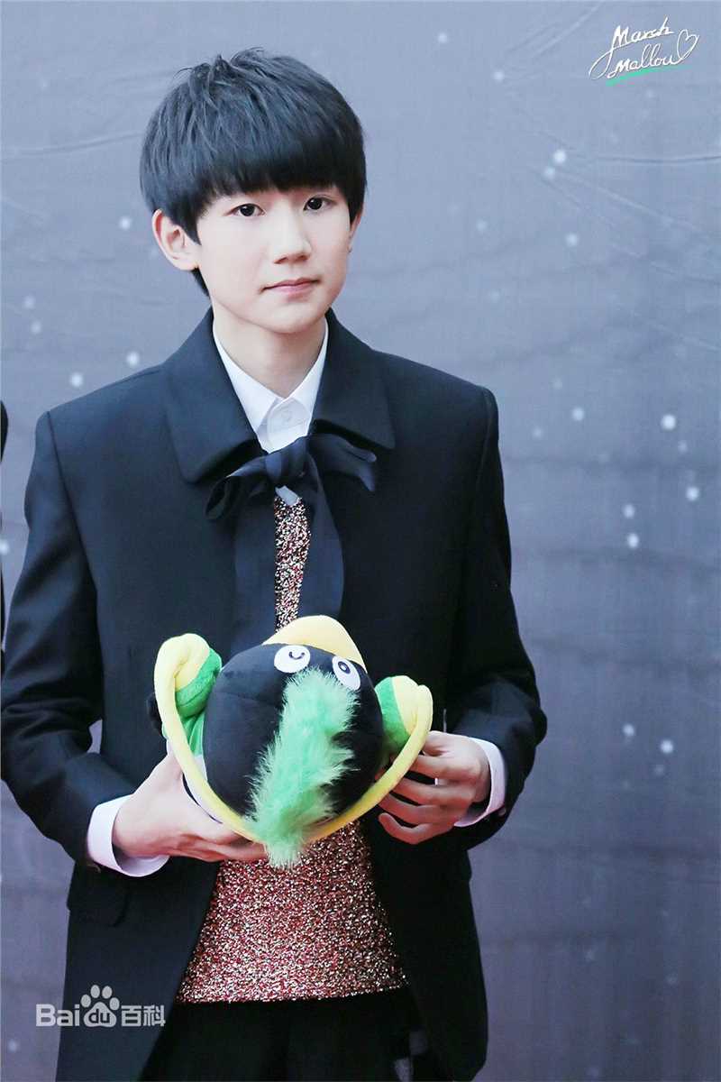 王源(Roy)红毯图片图集