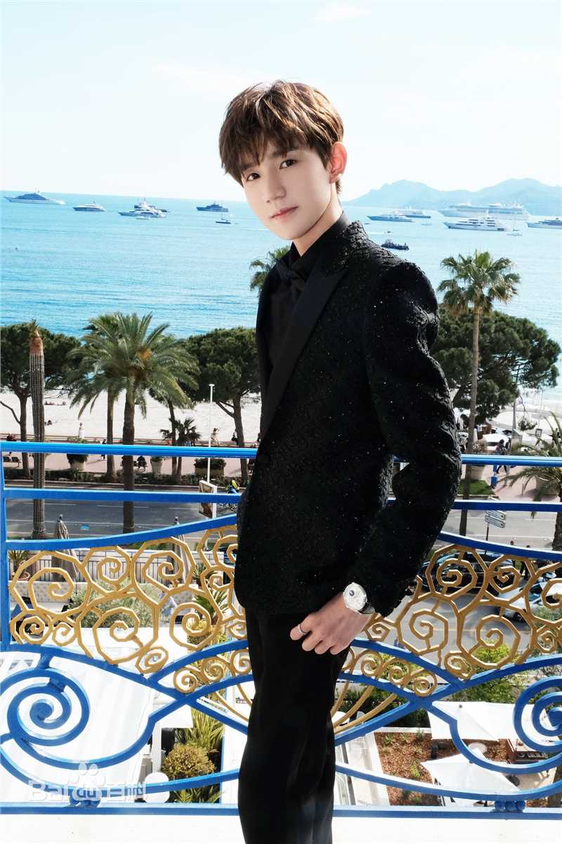 王源(Roy)红毯图片图集