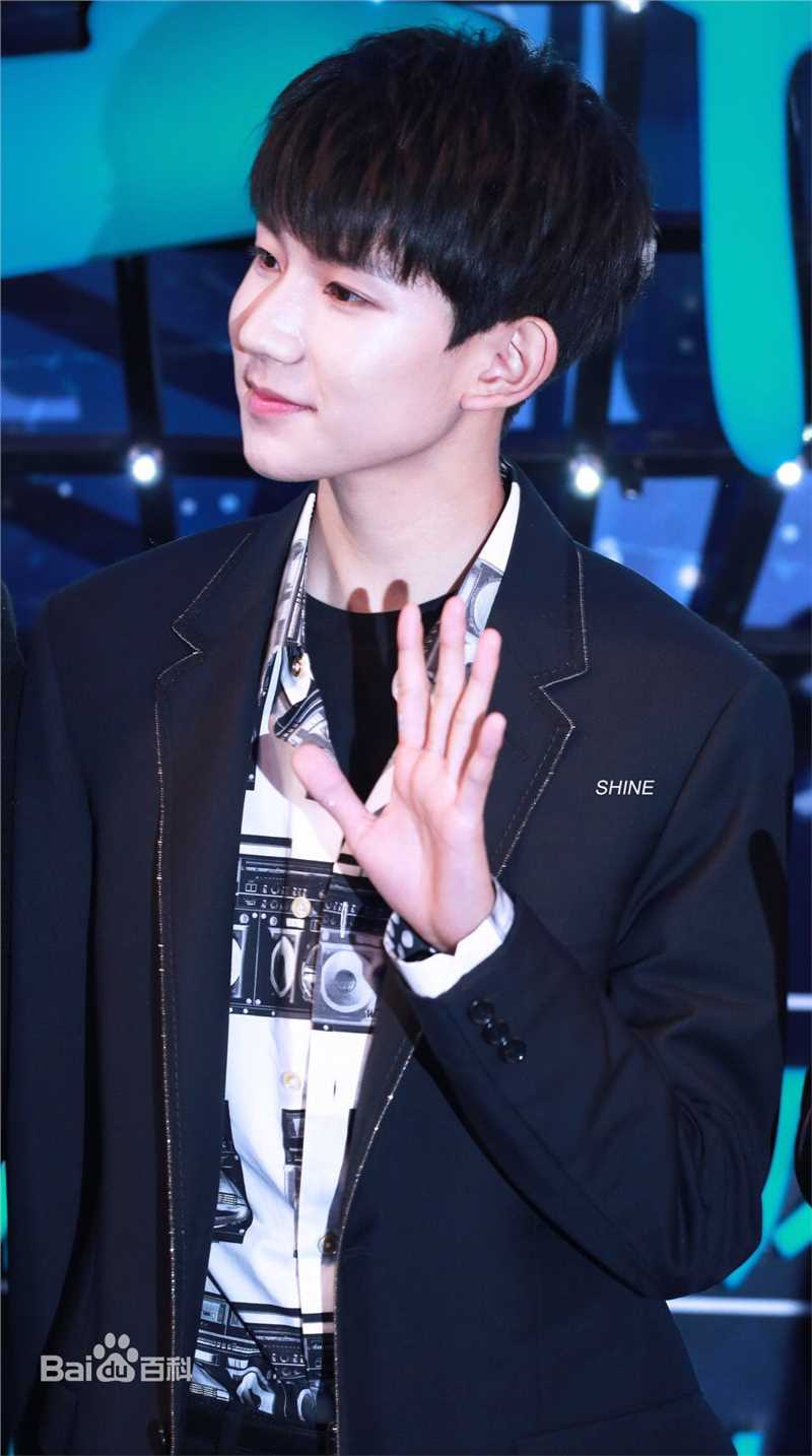 王源(Roy)红毯图片图集