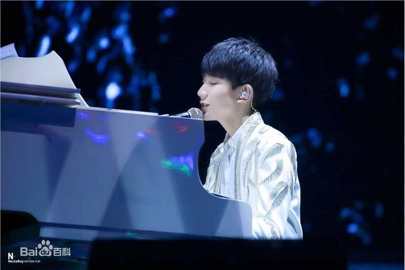 王源(Roy)演唱会生活照相册