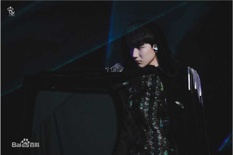 王源(Roy)演唱会生活照相册