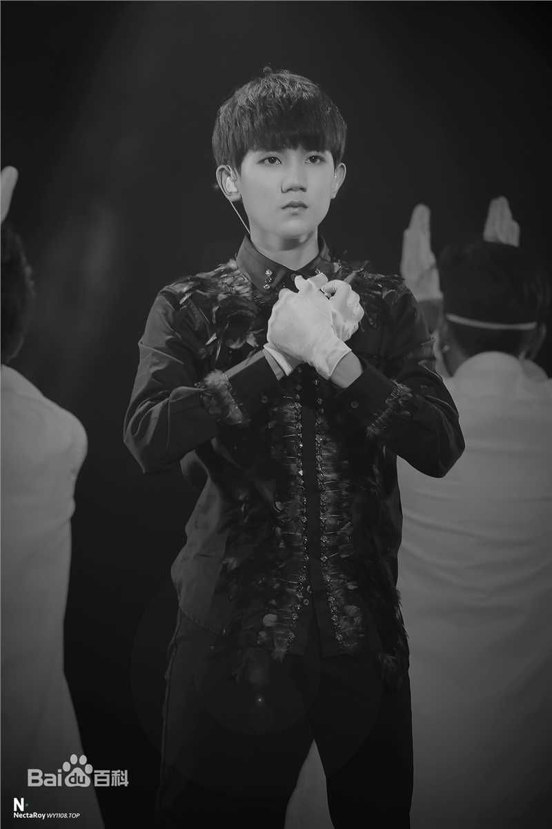 王源(Roy)演唱会生活照相册