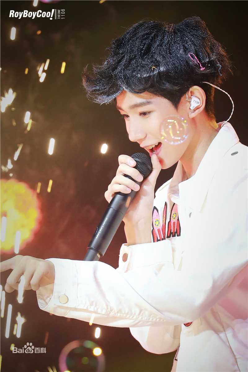 王源(Roy)演唱会生活照相册