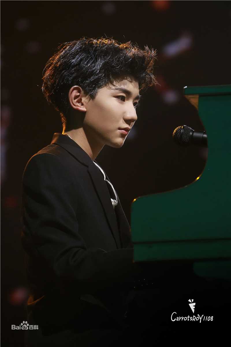 王源(Roy)演唱会生活照相册